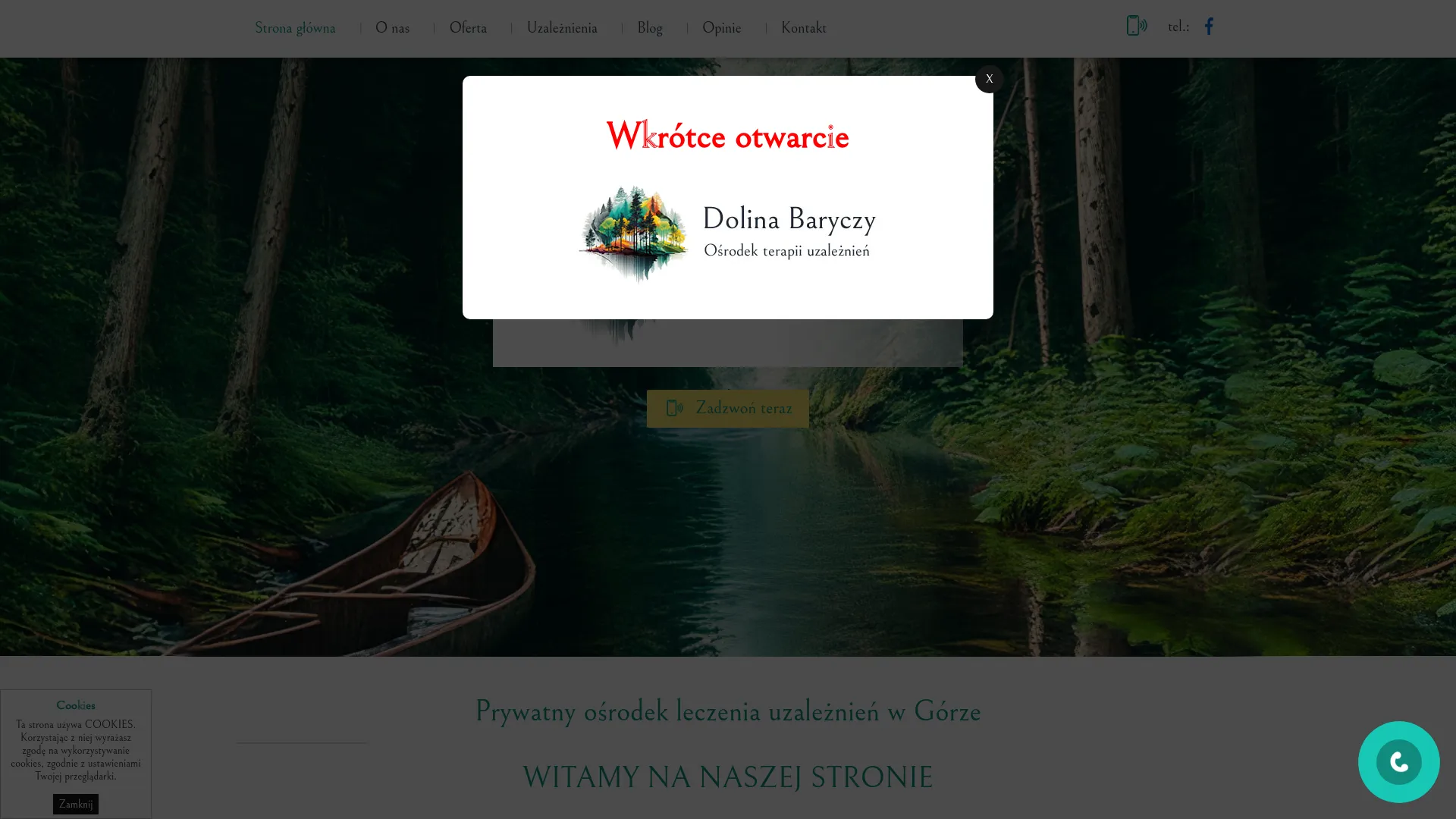 www.terapia-dolina-baryczy.pl screenshot